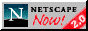 netscape.gif (1135 bytes)